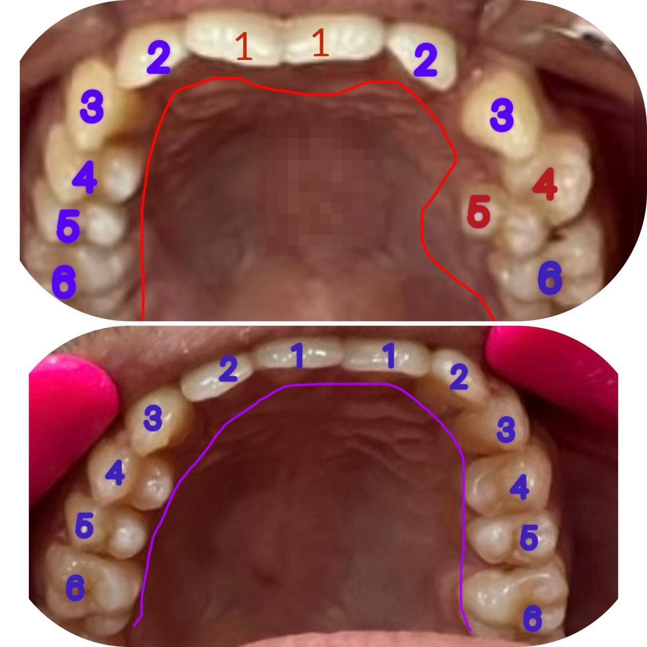 WhatsApp Image 2025-11-22 at 01.00.44 (1)