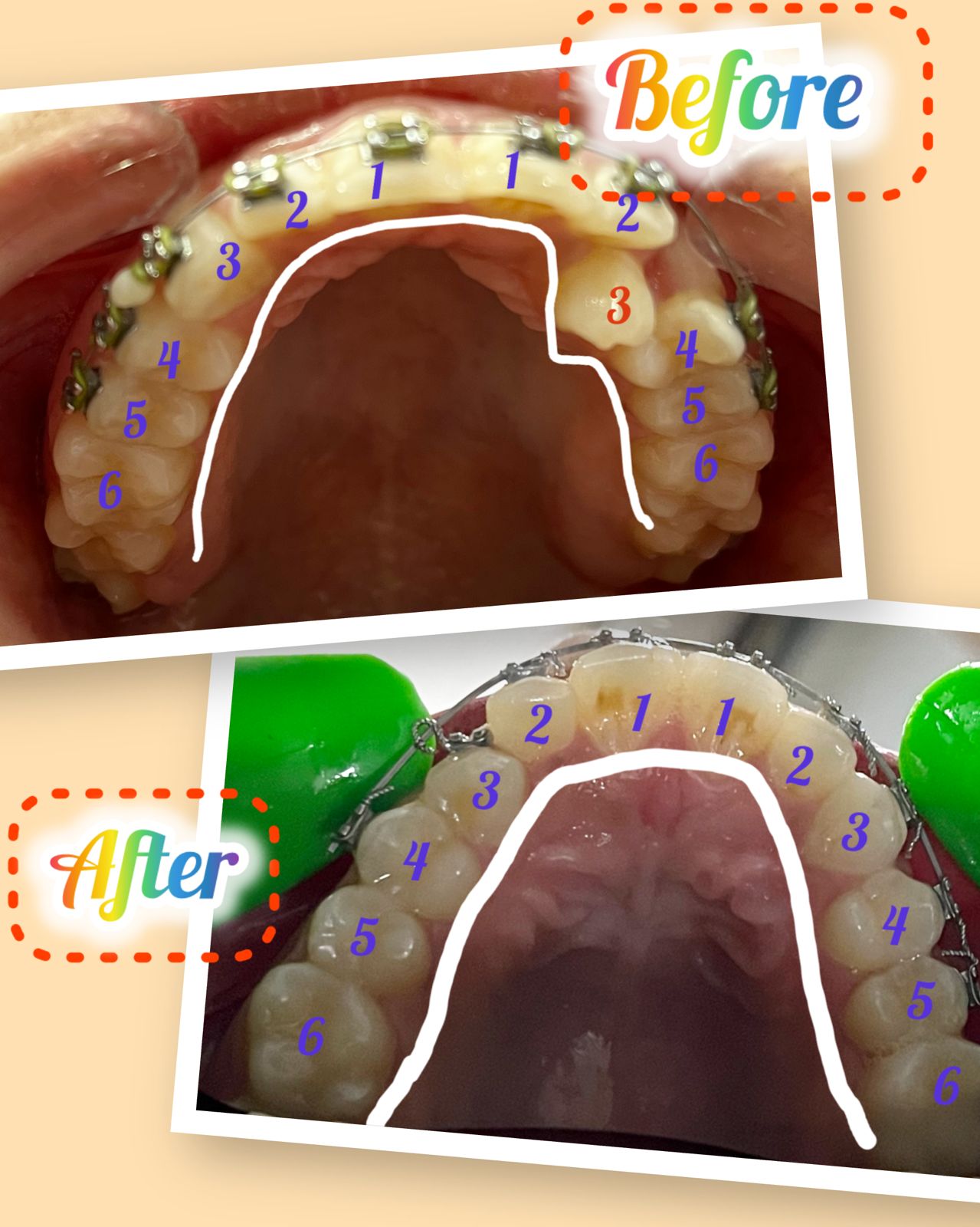 WhatsApp Image 2025-11-22 at 01.00.50